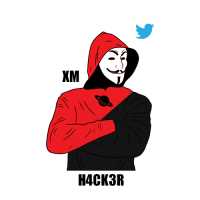 Twitter Hacking Service