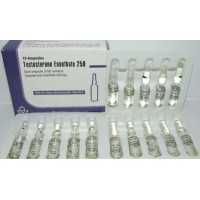 Testosteron Enanthate 250mg